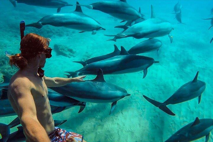 Zanzibar : Dolfijnentocht op het eiland Mnemba, privé & transfer + lunch
