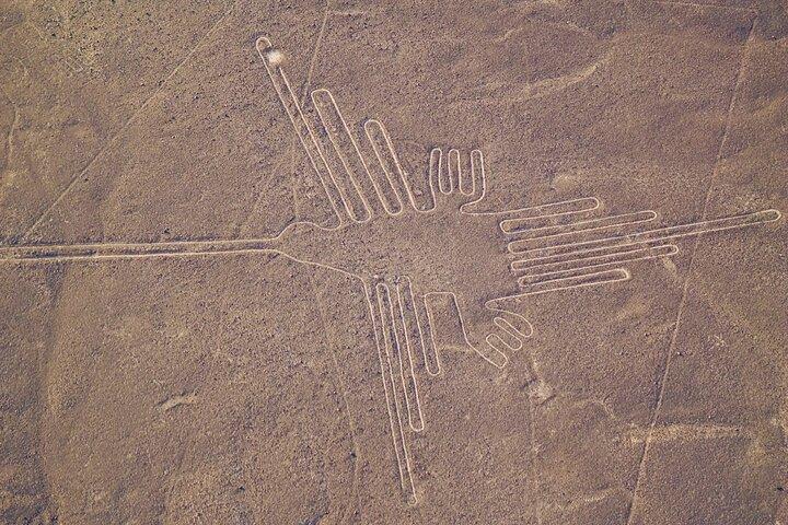 Dagtocht vanuit Lima naar Nazca met een vlucht over de Nazca-lijnen.