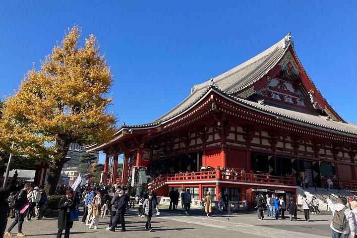 Tokyo Private Tour : Eintägige Highlights