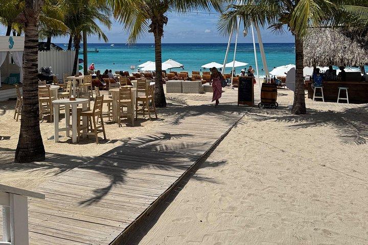 Roatán : ウェストベイビーチ・デイパス（プライベート交通付き）