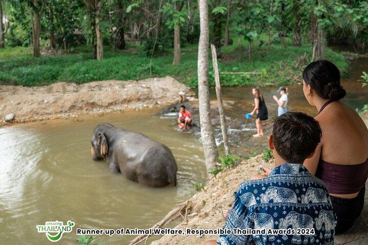 Khao Lak Elephant Sanctuary Walk mit Hoteltransfer – 2 Stunden