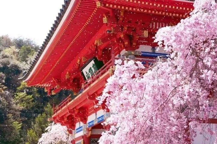 Osaka Katsuo-ji Temple Natural Attraction Ticket