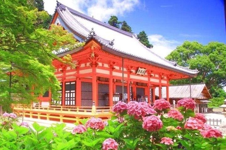 Osaka Katsuo-ji Temple Natural Attraction Ticket