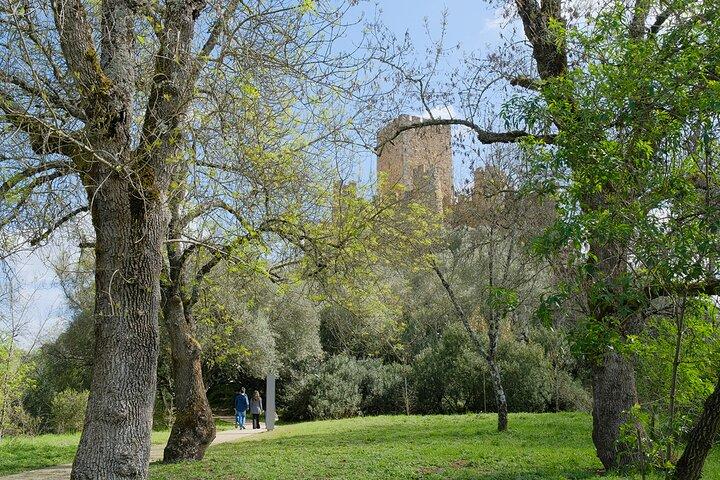Templar River: Tomar og Almourol Private Tour