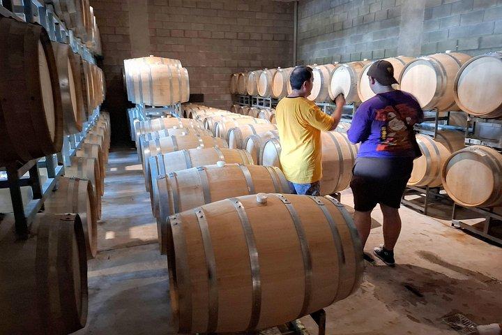 Bodegas con desayuno, blending game y almuerzo