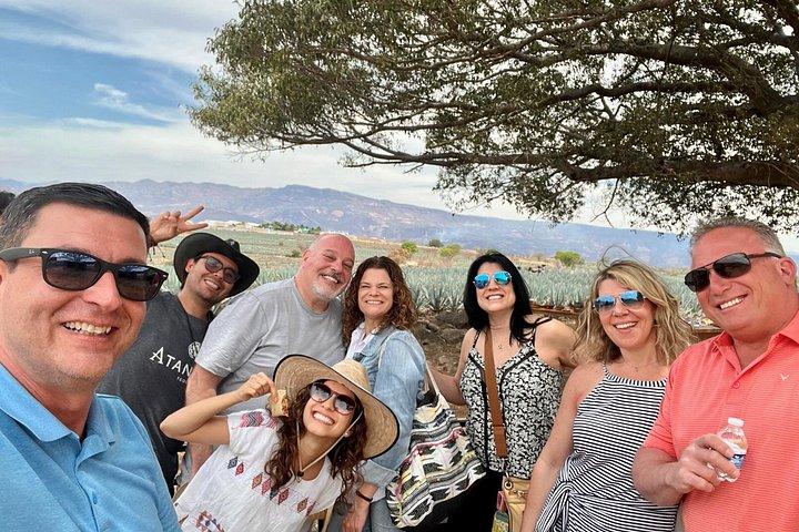 The Ultimate Tequila Experience: from Agave Field to Glass