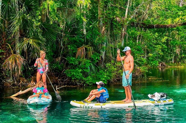 Visite de Silver Springs Paddleboard Manatees & Monkeys