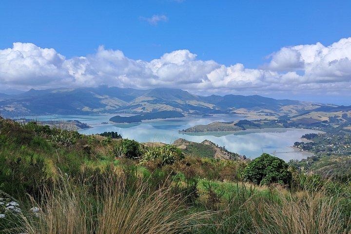 Banks Peninsula Explorer Tour (ex Lyttelton or Christchurch)