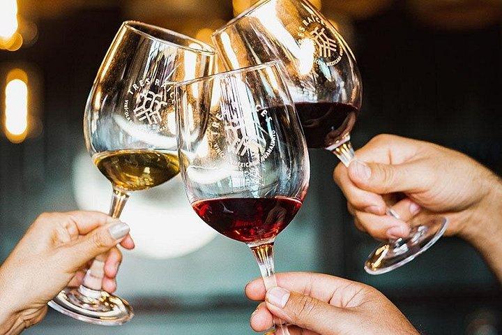 Experience in Vineyard with Guided Tour and Select Tasting