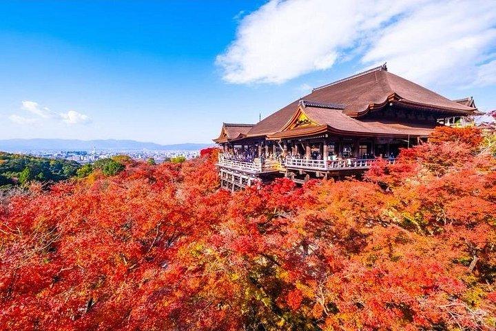 京都カスタマイズプライベートツアー - 奈良オプション（現地英語ガイド）