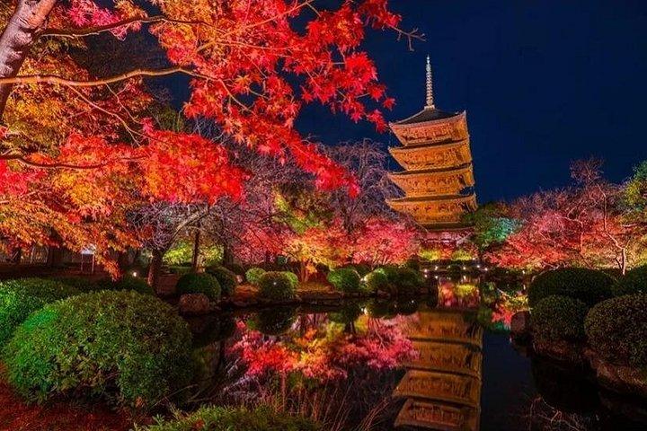 京都カスタマイズプライベートツアー - 奈良オプション（現地英語ガイド）