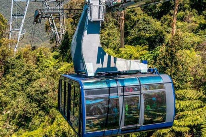 ブルーマウンテンズツアー：デラックス小グループ、シーニックワールド、フェザーデール