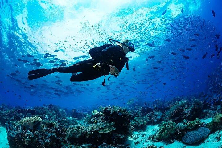 Alanya Scuba Diving for Beginners with Lunch and Transfers