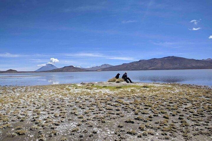 Fulddagstur til Salinas de Arequipa-lagunen