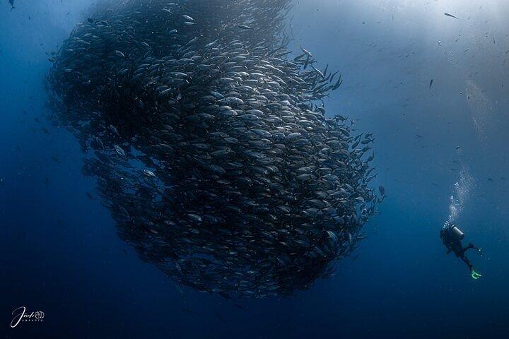 Extreme Baja Off-Road a Cabo Pulmo Diving — Ritiro ovunque