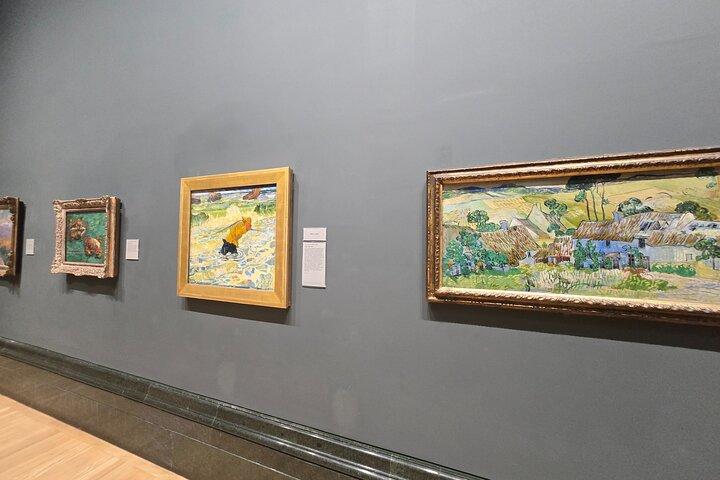 Visite guidée du Musée des beaux-arts avec entrée prioritaire