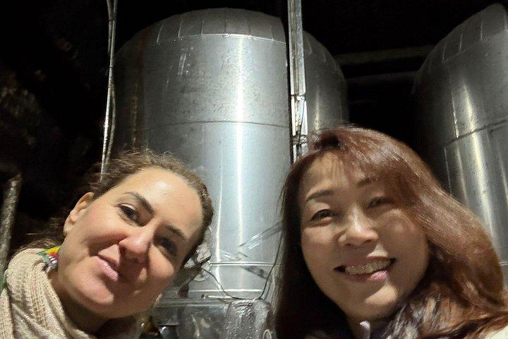 石器時代の体験 旧オルヘイ修道院 ブレンネシュティ セラー