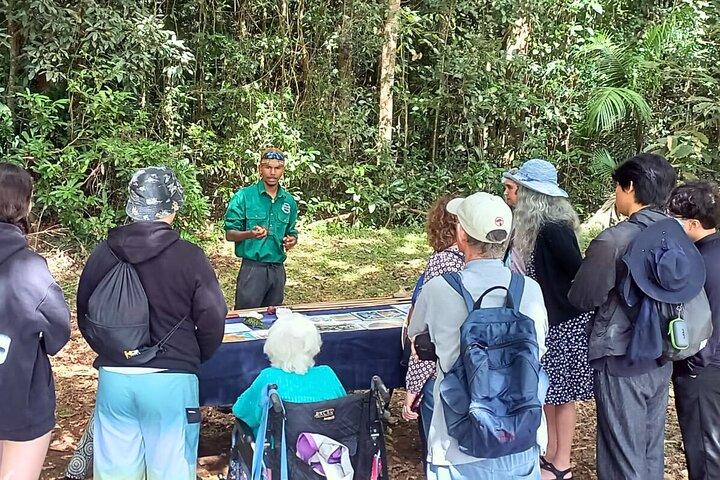 Atherton Tablelands : 2 - Visite privée de la culture autochtone d'une heure
