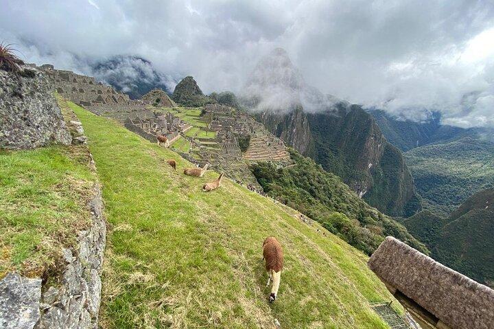 Hele dagtour door Machu Picchu