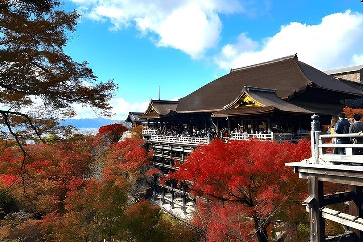 Privat Kyoto Sightseeing Tour med licensierad Green-Plate Vehicle