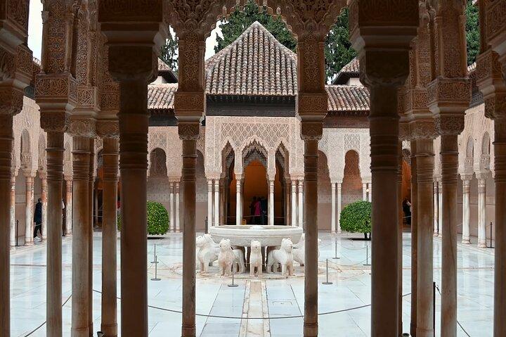 Visite privée de l'Alhambra avec guide officiel