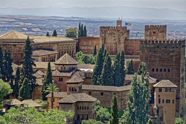 Visite privée de l'Alhambra avec guide officiel
