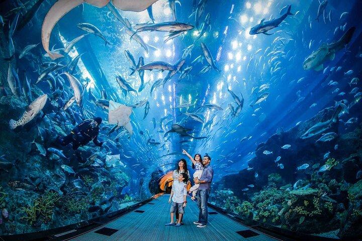 イスタンブール水族館入場料とホテル送迎