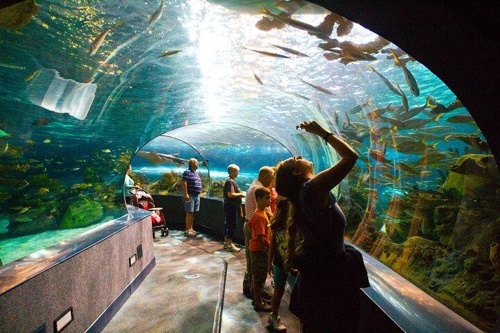 イスタンブール水族館入場料とホテル送迎