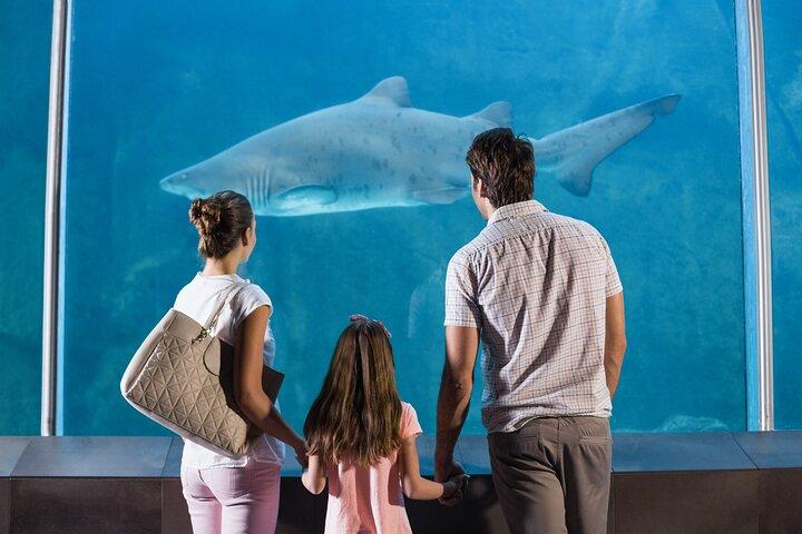 Istanbul Aquarium Admission with Transfers