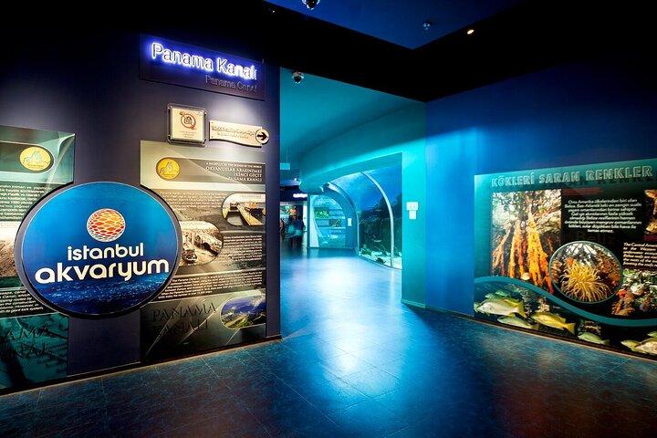 Istanbul Aquarium Experience with Comfortable Hotel Transfers