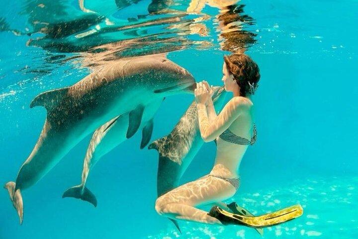 7 jours Zanzibar Beach avec Selous Day Trip Safari