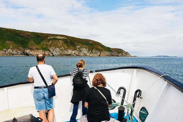 Excursão de barco em Howth Cliffs and Lighthouses