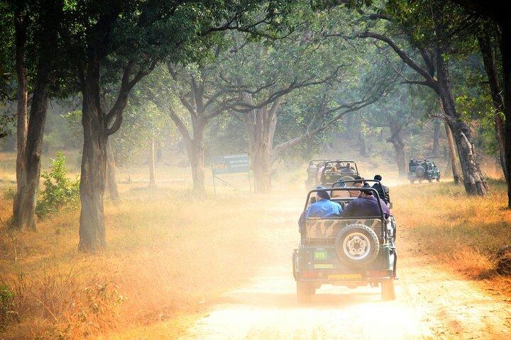 Von Jaipur Ranthambore Nationalpark Tagesausflug mit Safari