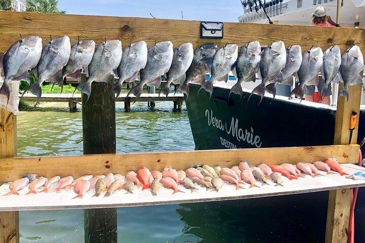 Destino: Festa e passeio de pesca