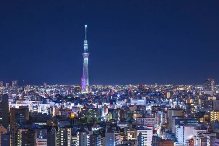 All Inclusive Tokyo Shared Tour with Hotel Pickup