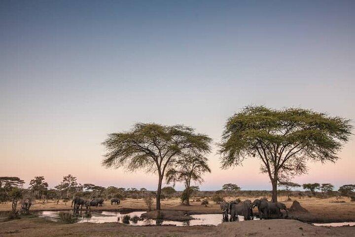7 Días Tanzania Safari Aventura Serengeti y Ngorongoro
