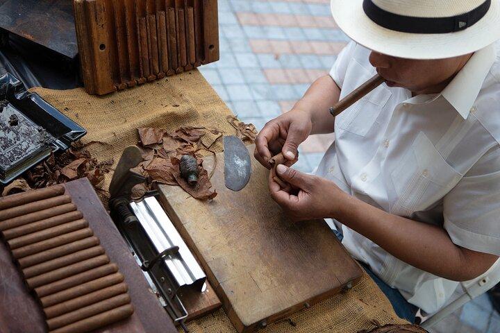 Discover Miami : 観光スポット、隠れた名所、ローカルカルチャー（3.5時間）