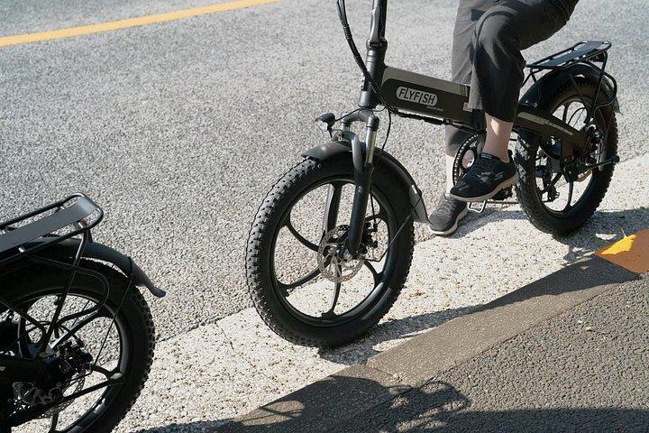 3時間の電動自転車で東京の名所を巡るプライベートツアー