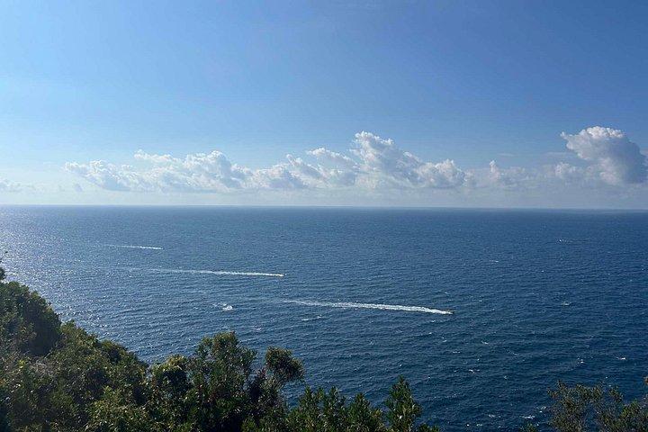 Cavtat、Mlini & Srebrenoからドゥブロヴニク旧市街へのスピードボート送迎