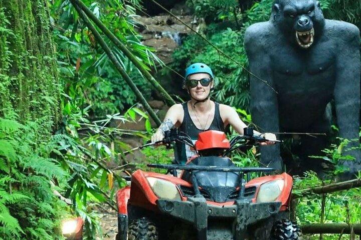 Bali : Mt Batur 4WD Jeep Sunrise, Ubud VTT & Rafting avec repas