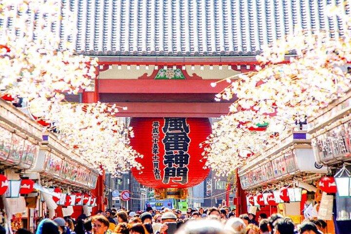 ホテル送迎付きプライベート全日東京ハイライトツアー