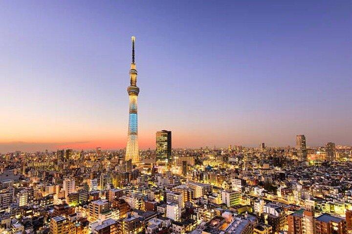 ホテル送迎付きプライベート全日東京ハイライトツアー