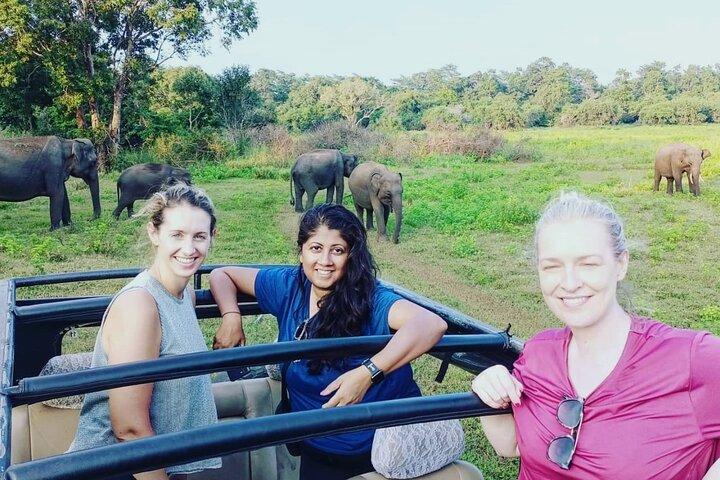 All Inclusive Safari på Minneriya nationalpark från Polonnaruwa
