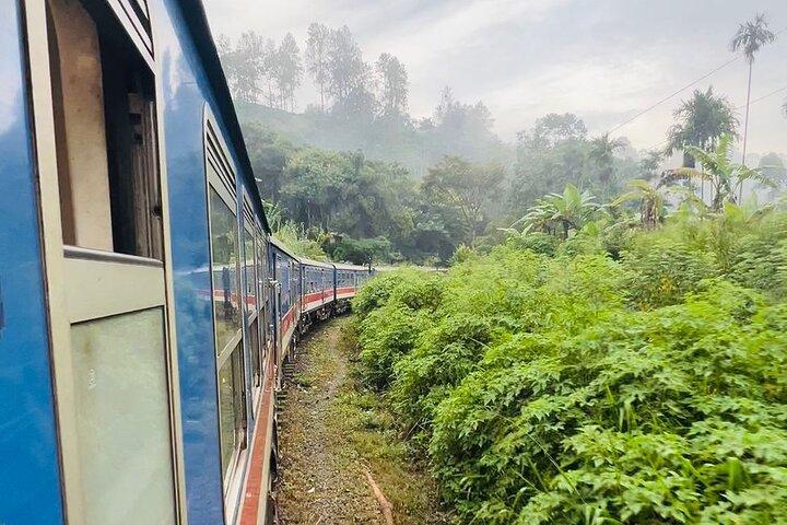 エラ1日観光列車乗車と紅茶工場付きプライベートツアー