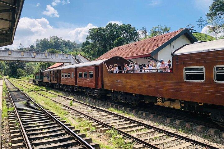 エラ1日観光列車乗車と紅茶工場付きプライベートツアー