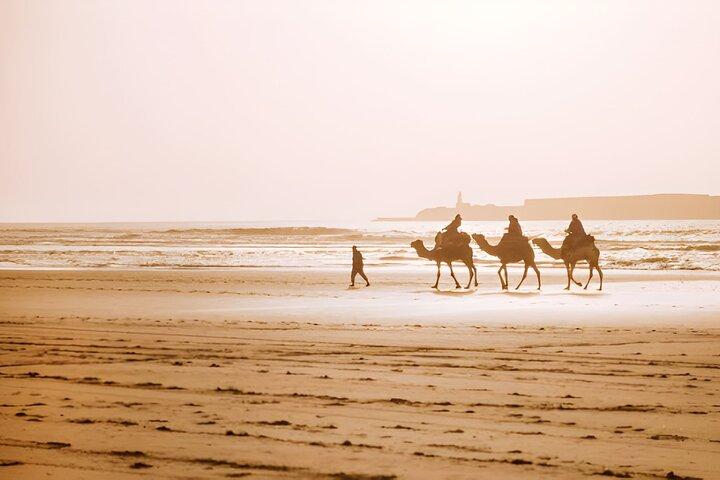 Privé dagtrip naar Essaouira vanuit Marrakech