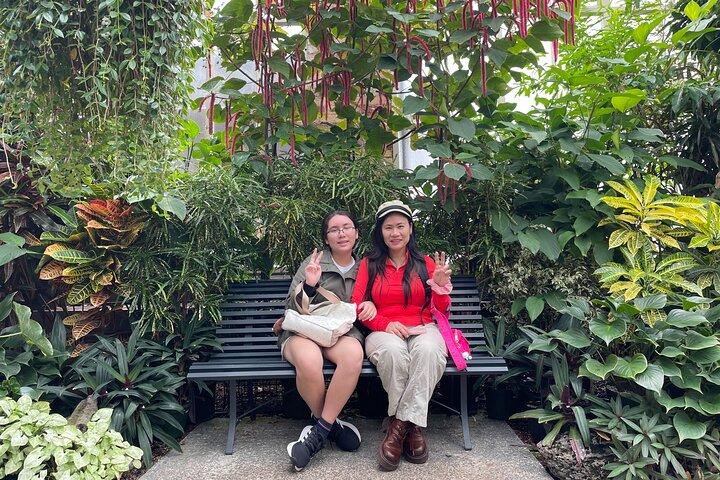 Auckland Museum and Highlight Sightseeing Tour