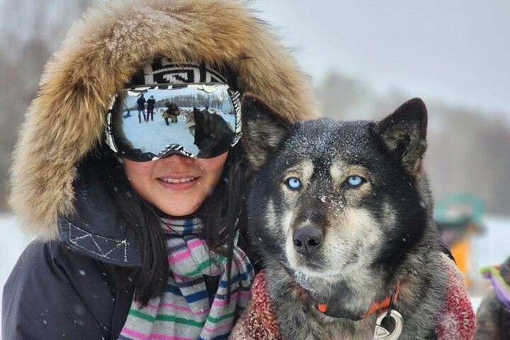 Vinter i Terelj National Park - Hundeslæde og ridning