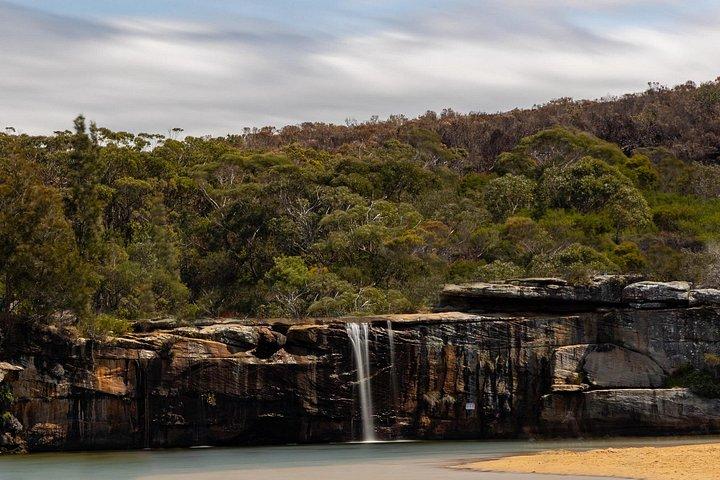 Sydney: Royal National Park Small Group Hike, Swim, Picnic