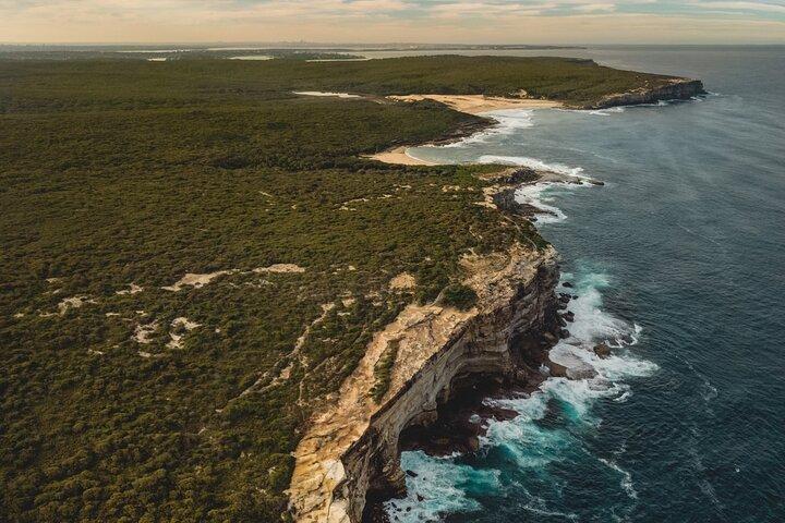 Sydney : Royal National Park Coast & Rainforest, Koalas & Lunch
